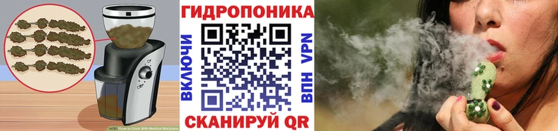kraken как зайти Ардон Canna-Cookies конопля