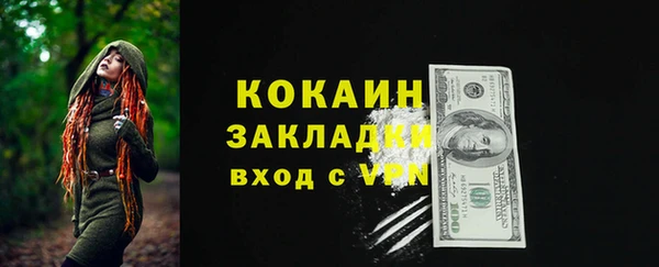 стафф Алексин