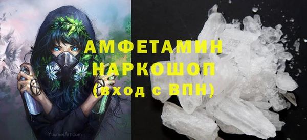 стафф Алексин