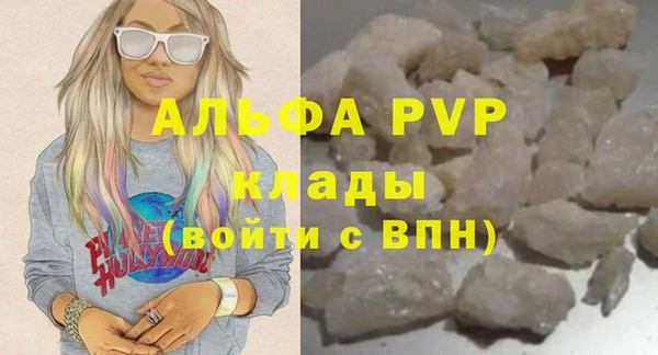 стафф Алексин
