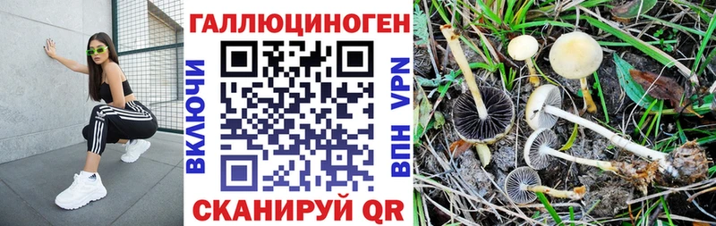 kraken tor  Ардон  Псилоцибиновые грибы Magic Shrooms  цены  